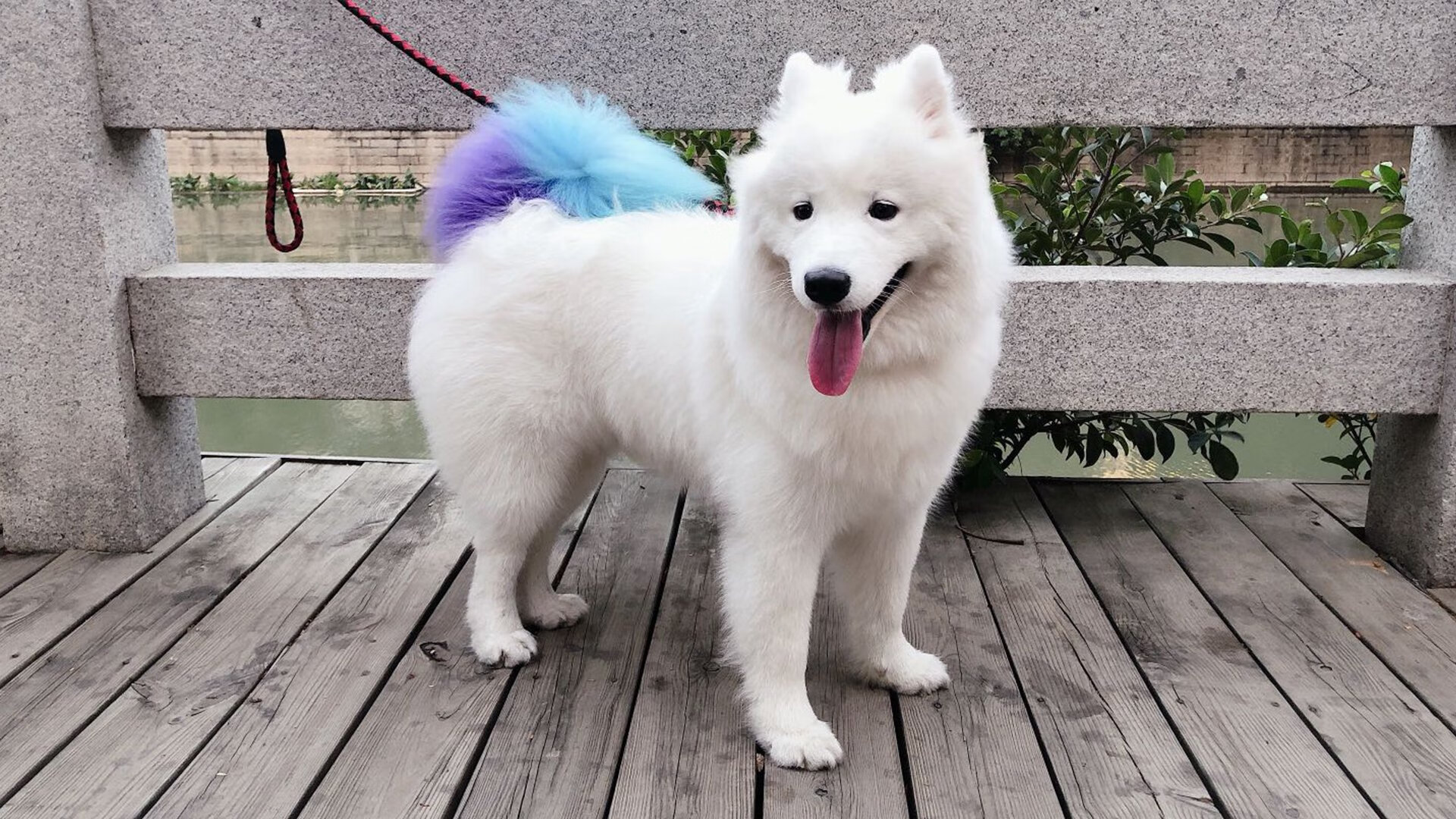 开云体育2026-巅峰之夜，唯一的胜利法则，关于专注、控制与超越