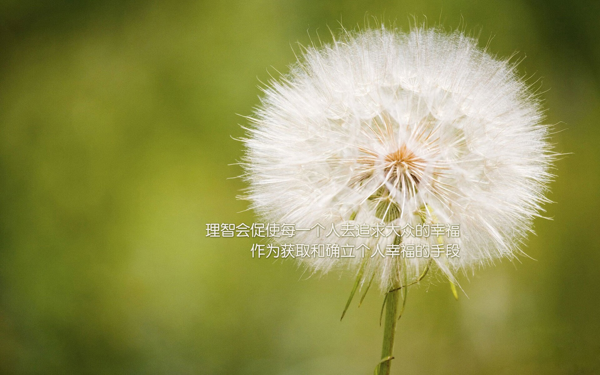 个人英雄与团队胜利，孙兴慜扛起全队，巴西掀翻摩纳哥的启示