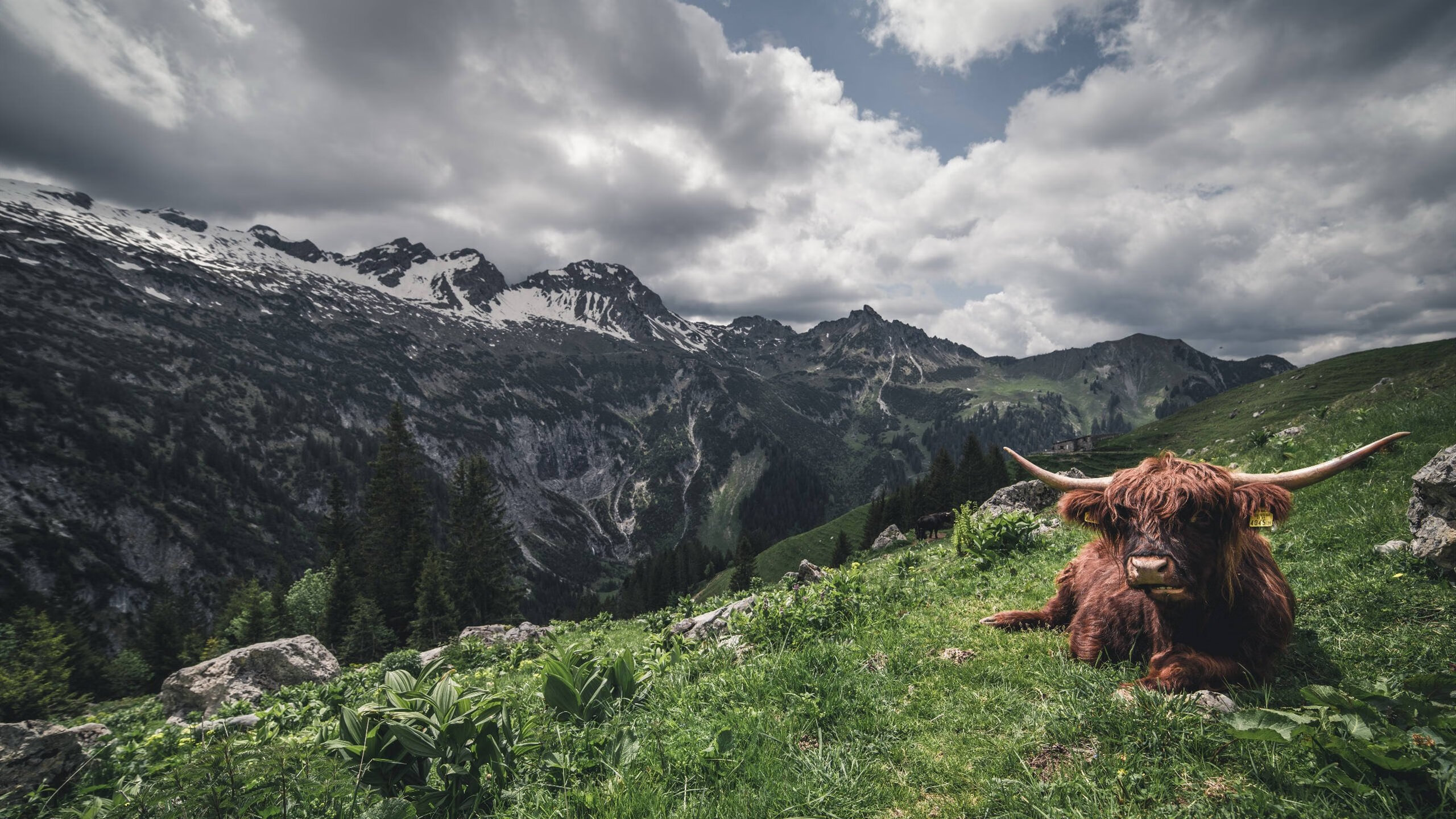 蓝色火焰撕裂东方长城，沉默的坎特在决定性10秒改写历史