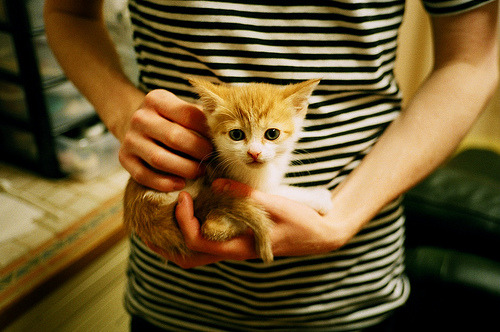 伊布爆发引领摩洛哥末节逆转,牙买加憾负—一场唯一性的足球盛宴