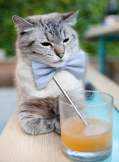 新王当立，欧冠淘汰赛之夜，萨卡比赛走势一手掌控