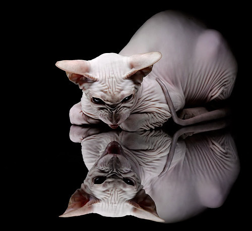 开云体育app-绿茵终局之战，卡拉斯科无解破局，威尔士红龙之怒强行终结美国时代