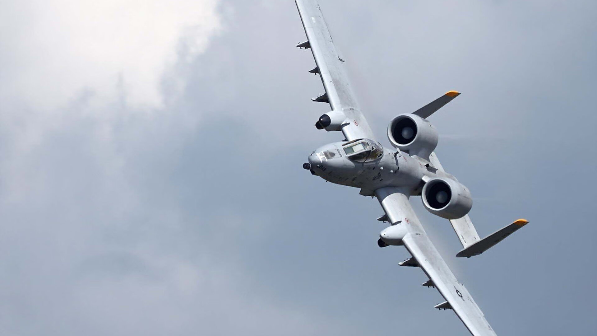 开云体育app-当鹈鹕啄开篮球世界的门，勒布朗正在改写另一座球场的定义