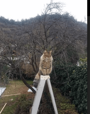 37分之夜，当时间在杜兰特指尖静止