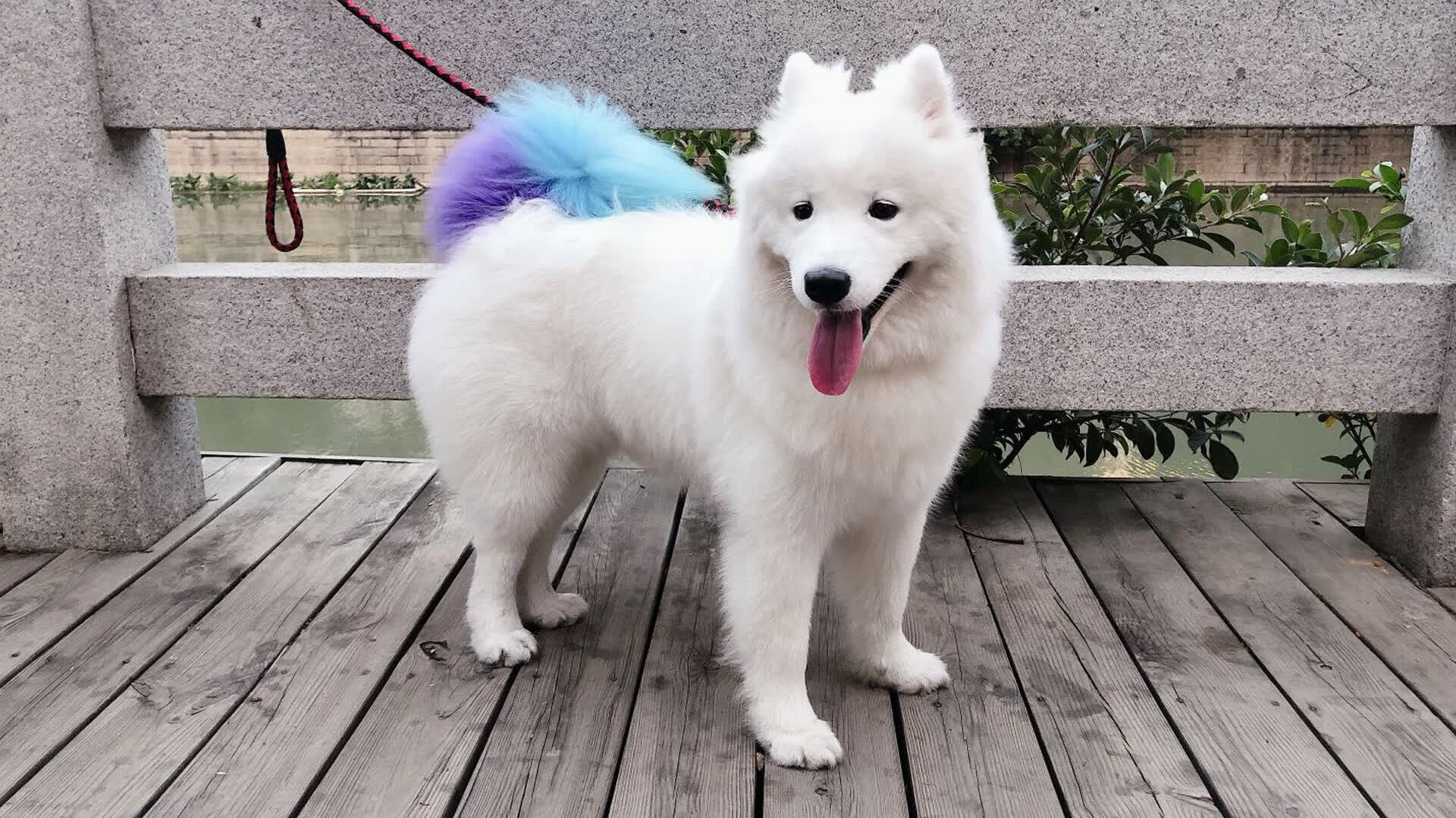 山海彼岸的盛典，荣耀同一片天空