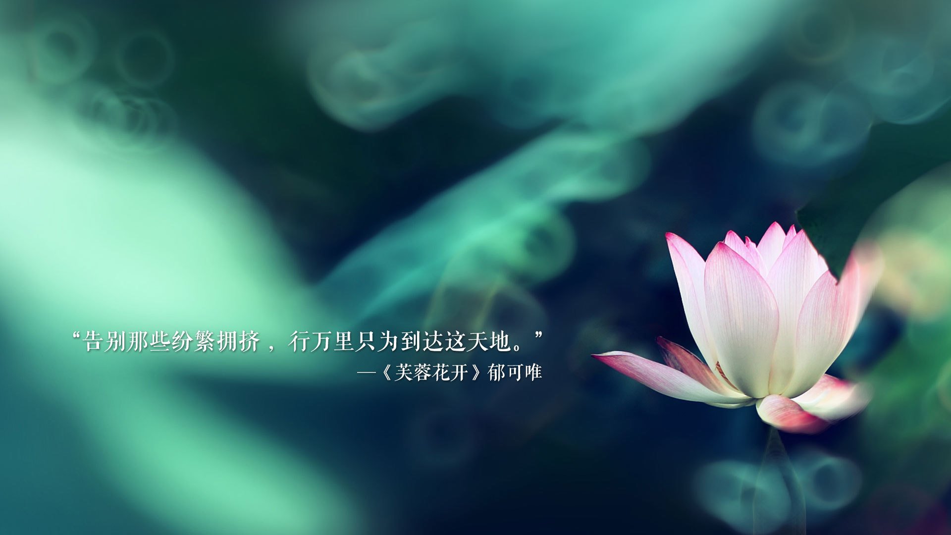 这是一篇为你定制的文章，围绕唯一性展开，深度挖掘了格列兹曼在2026年世界杯F组美国对阵匈牙利这场比赛中的战略价值