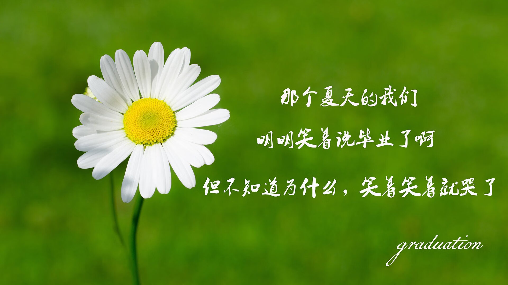 蓝衣防线,一夕成灰,2026世界杯H组,比利时技术性碾压意大利,京多安与门神的唯一剧本
